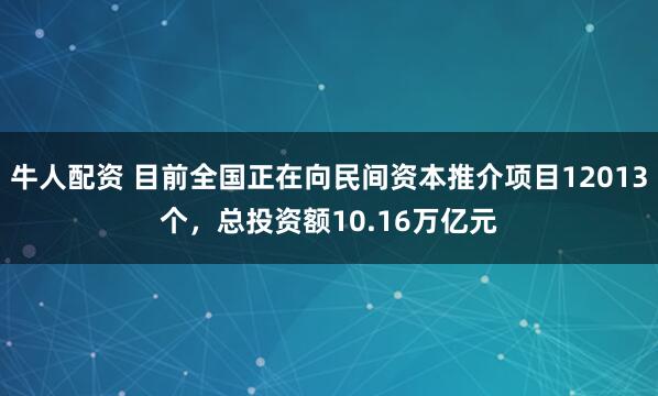 牛人配资 目前全国正在向民间资本推介项目12013个，总投资额10.16万亿元