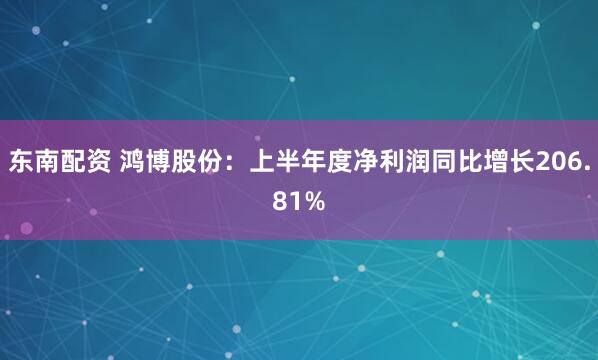 东南配资 鸿博股份：上半年度净利润同比增长206.81%