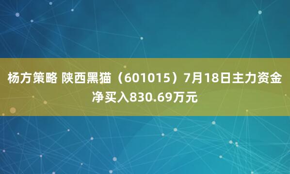 杨方策略 陕西黑猫（601015）7月18日主力资金净买入830.69万元